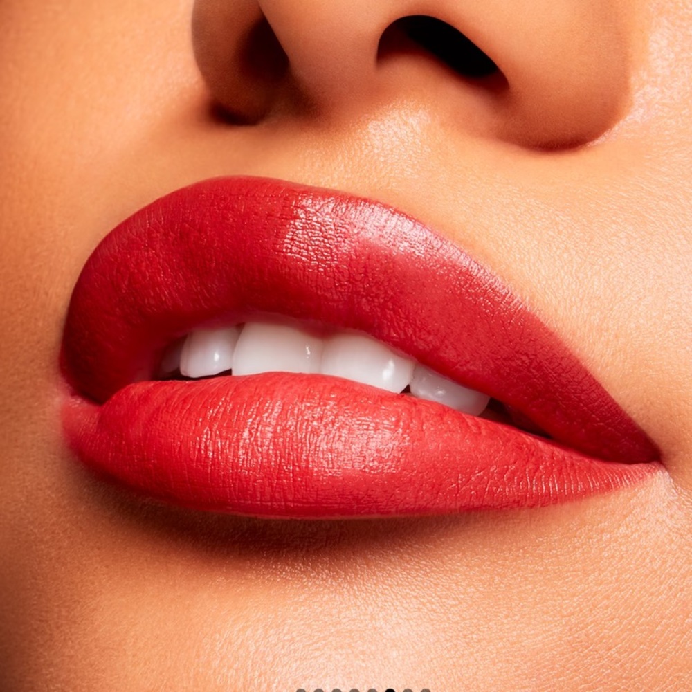POWDER KISS VELVET BLUR SLIM STICK Lipstick lip color fun Dubonnet buzz 878 NWT